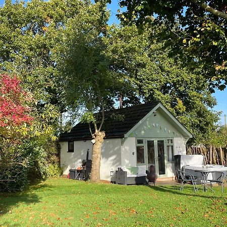 Pheasant Lodge Wimborne Minster Exterior photo